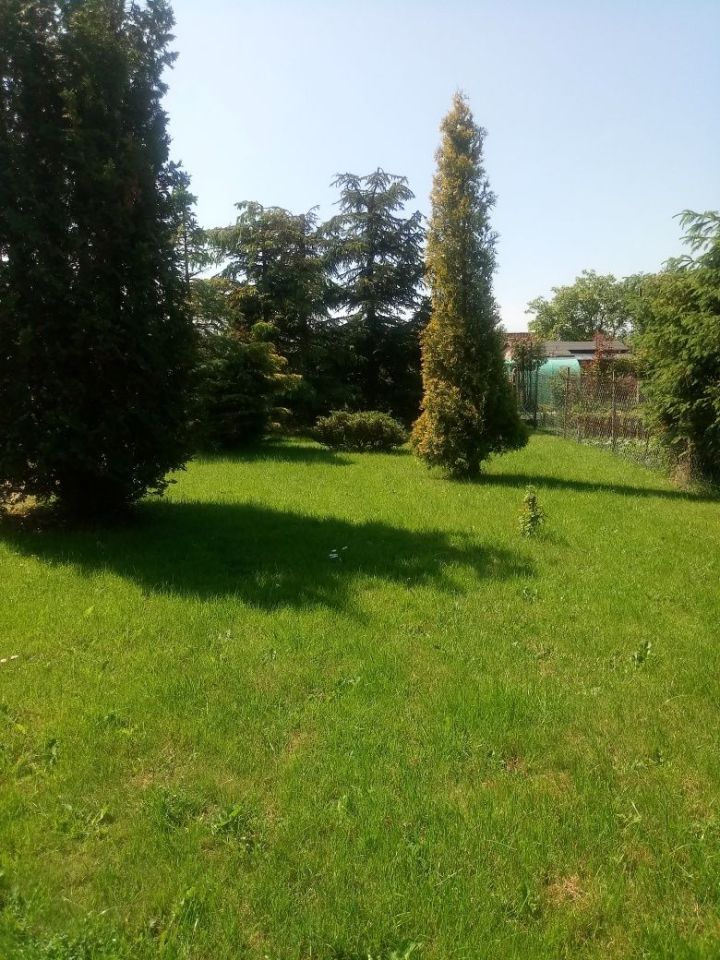 Działka rod Szczecin Centrum. Zdjęcie 2