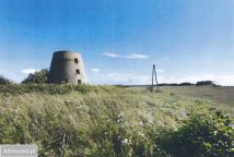 Działka siedliskowa Czernin. Zdjęcie 2