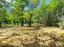 Działka rekreacyjna Czerwona Wola. Zdjęcie 4