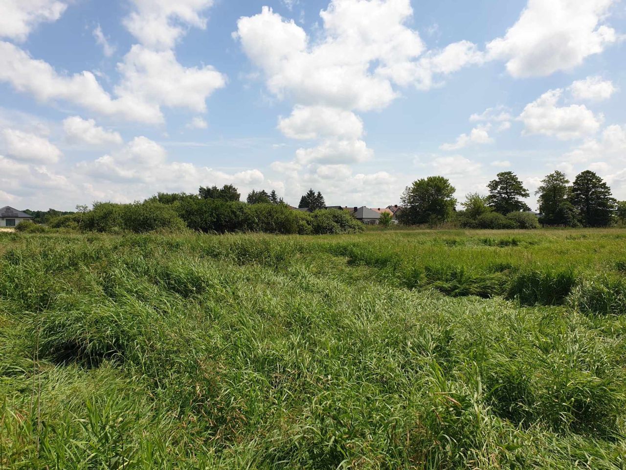 Działka budowlana Zamość Karolówka, ul. Robotnicza. Zdjęcie 2