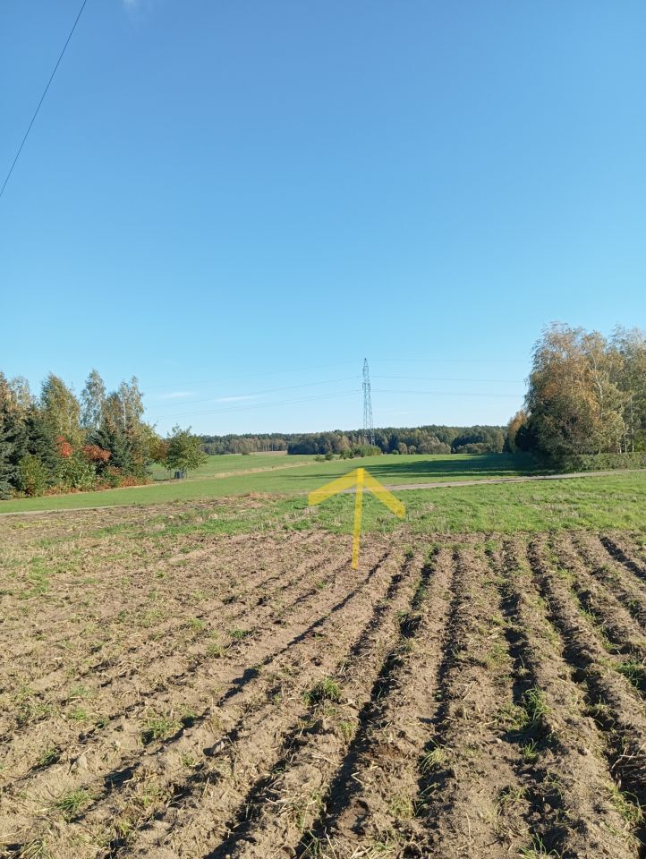 Działka budowlana Targonie. Zdjęcie 2