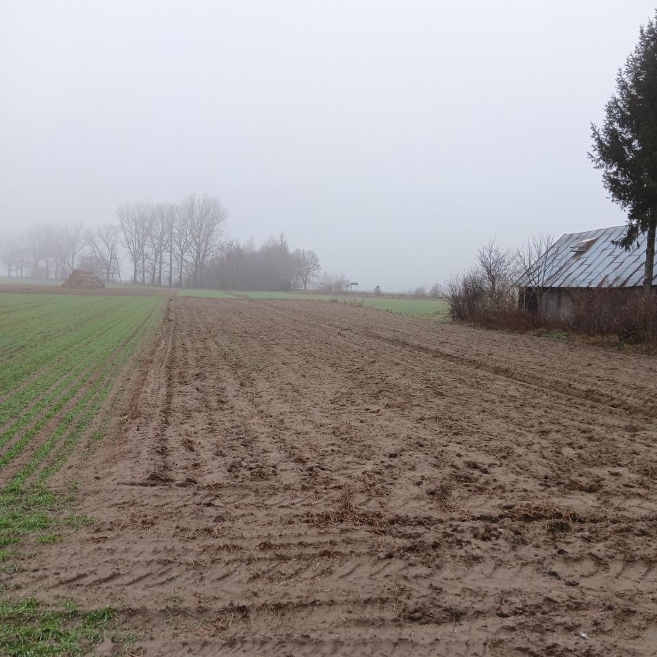 Działka budowlana Stara Bordziłówka Koszelówka. Zdjęcie 5