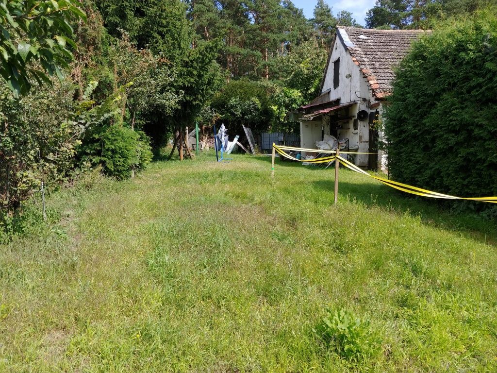 Działka budowlana Gozdowice. Zdjęcie 1