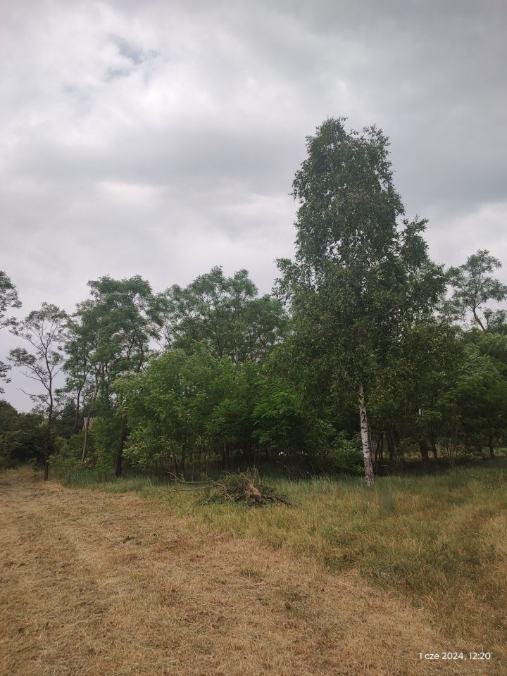 Działka rekreacyjna Stary Orzechów. Zdjęcie 1