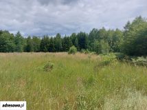 Działka inna Wiluki. Zdjęcie 4