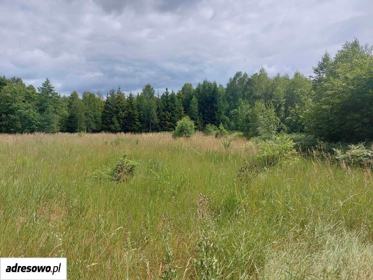 Działka inna Wiluki. Zdjęcie 5