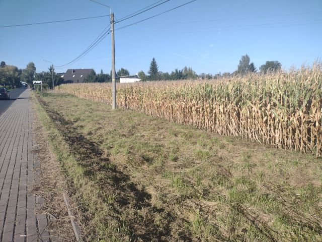 Działka na sprzedaż bez pośredników 
 
 ul. Targowa 
 
 Czernikowo - Więcej