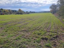 Działka budowlana Nowa Wola. Zdjęcie 1