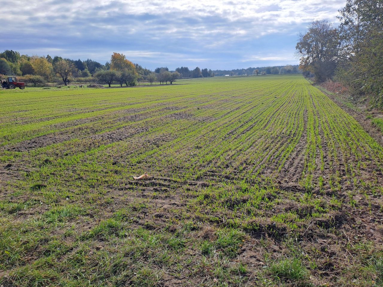 Działka budowlana Nowa Wola. Zdjęcie 2