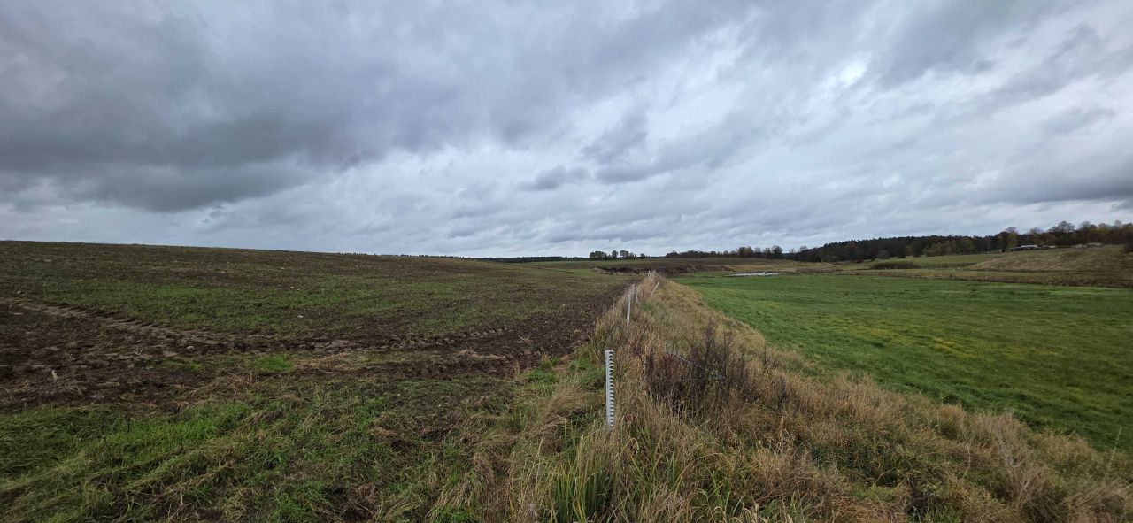 Działka rolno-budowlana Kłębowiec. Zdjęcie 4