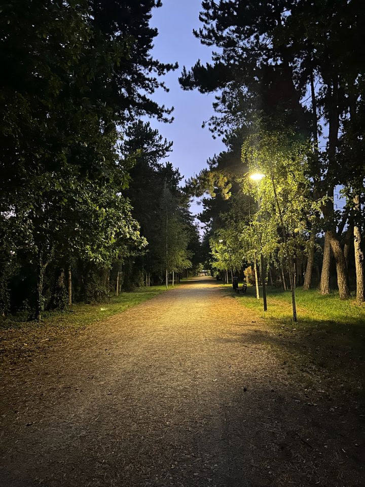 Mieszkanie 3-pokojowe Wrocław Psie Pole, ul. Grudziądzka. Zdjęcie 12