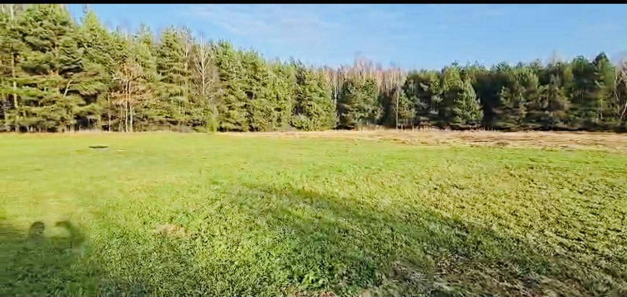 Działka rolno-budowlana Kolonia Piaski. Zdjęcie 4