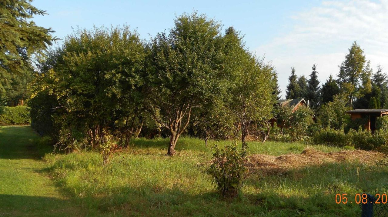 Działka rod Skierniewice. Zdjęcie 1