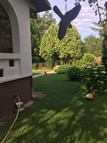 Działka rekreacyjna Warszawa Białołęka Dworska, ul. Ornecka. Zdjęcie 1