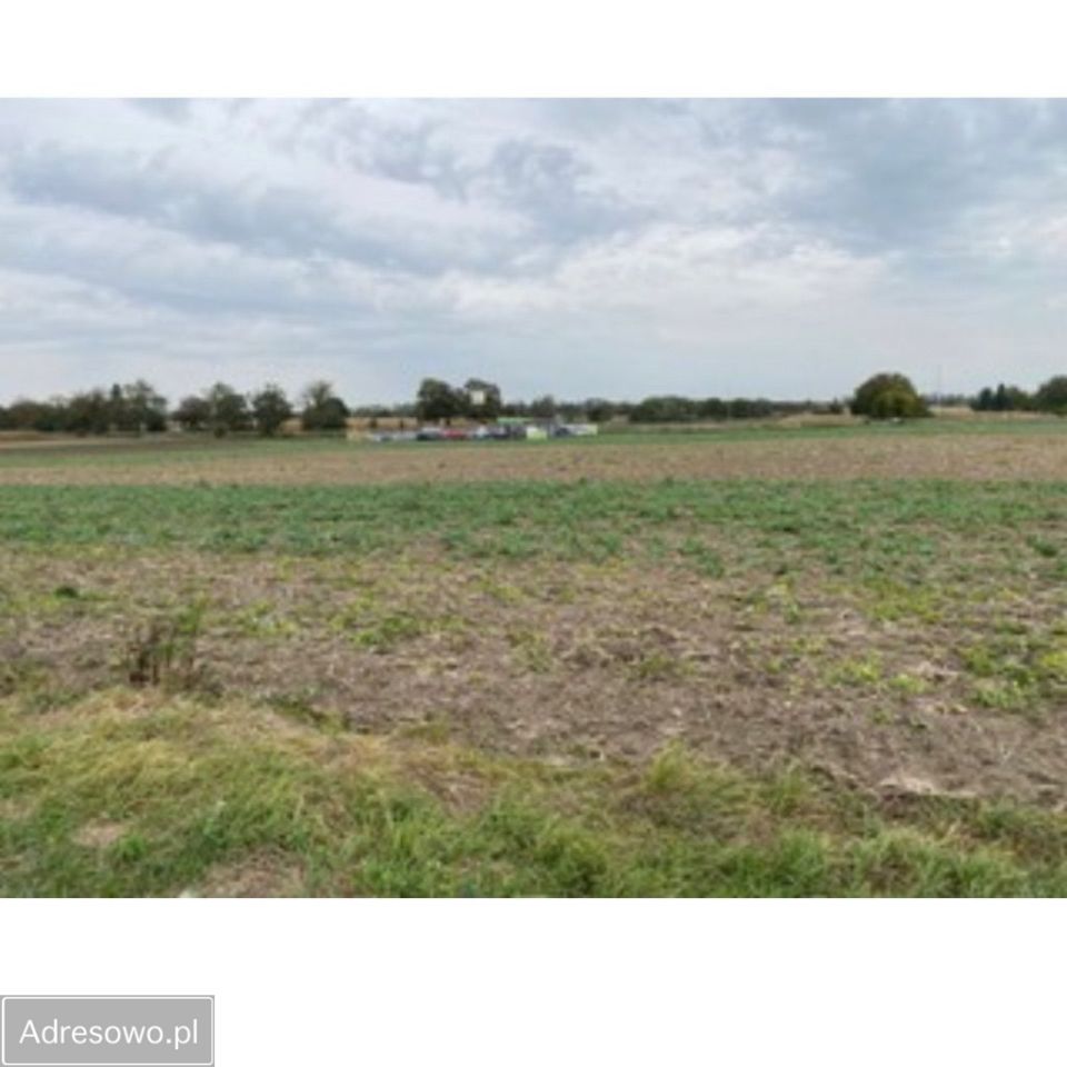 Działka inwestycyjna Oleśnica, ul. Bolesława Krzywoustego. Zdjęcie 4