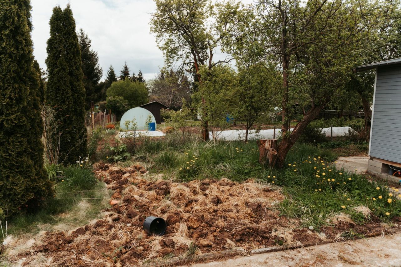 Działka rod Klebark Wielki. Zdjęcie 5