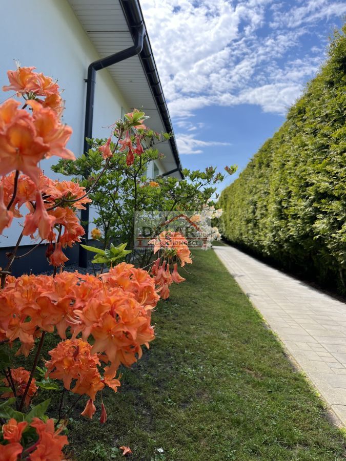 dom wolnostojący, 5 pokoi Góra Kalwaria. Zdjęcie 12