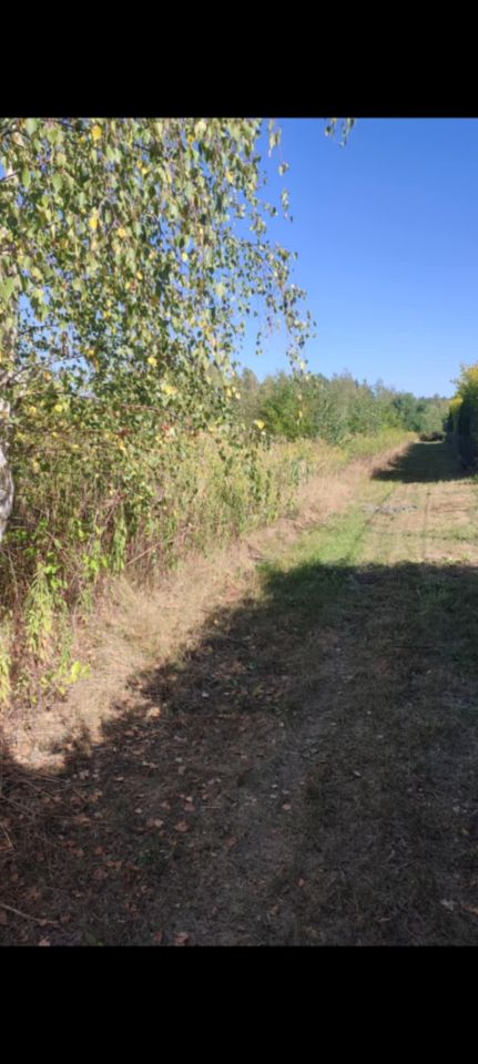 Działka budowlana Pysznica, ul. Wrzosowa. Zdjęcie 3