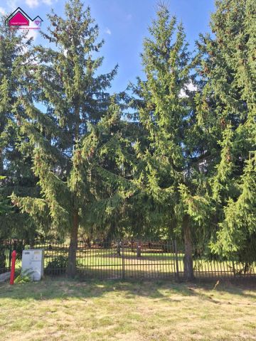 Działka rekreacyjna Wilczyn. Zdjęcie 13