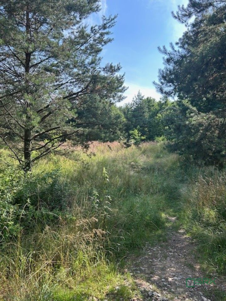 Działka inna Mysłowice Wesoła, ul. 11 Listopada. Zdjęcie 6