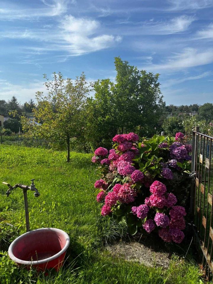 Działka rod Chojnice, ul. Kościerska. Zdjęcie 4