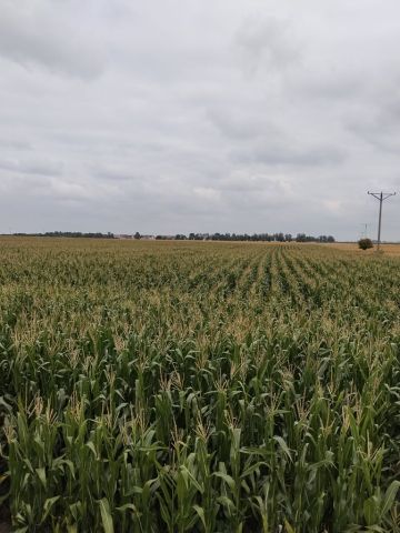 Działka rolna Głogówek. Zdjęcie 1