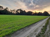 Działka budowlana Syców. Zdjęcie 2