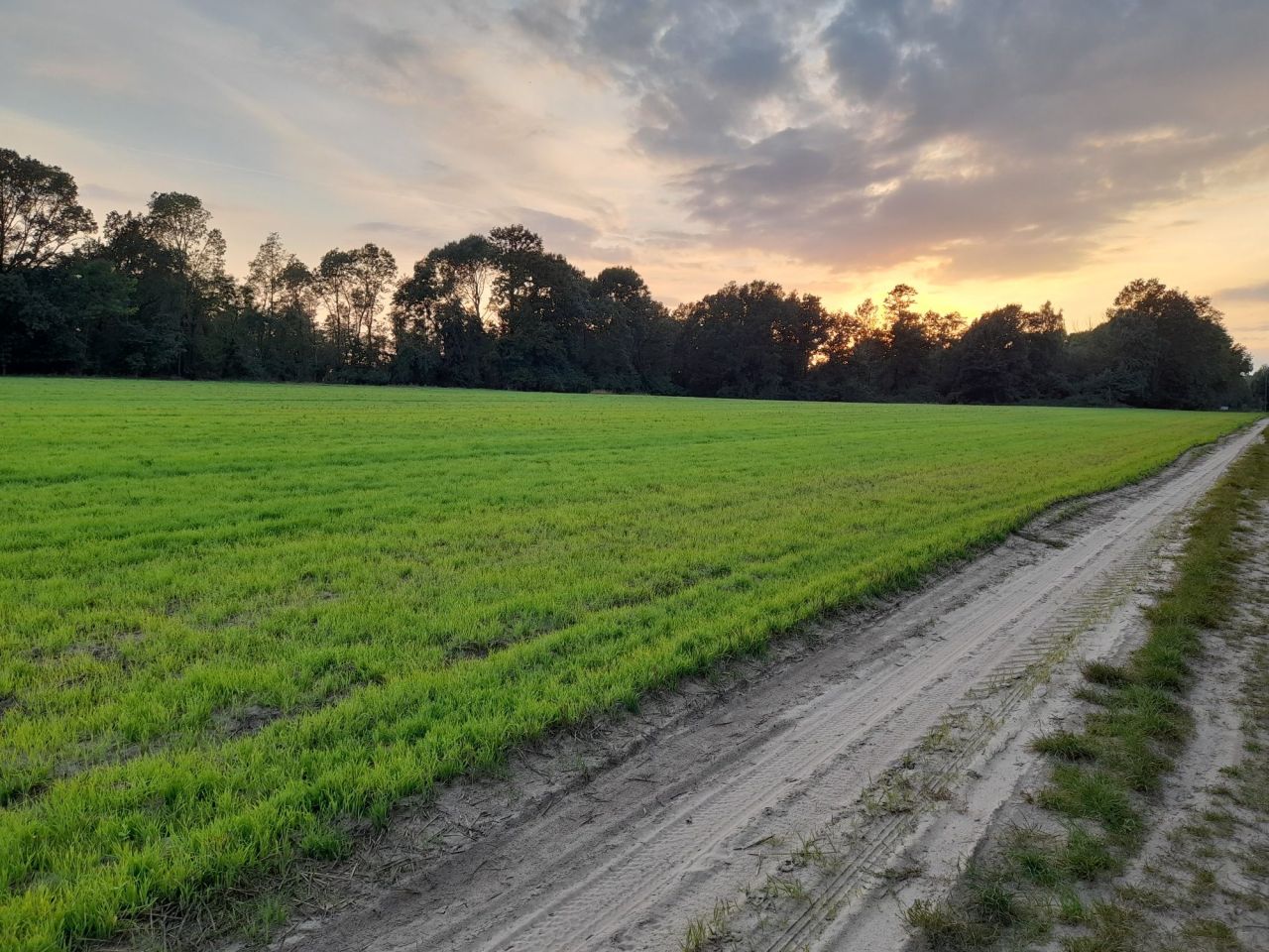 Działka budowlana Syców. Zdjęcie 3