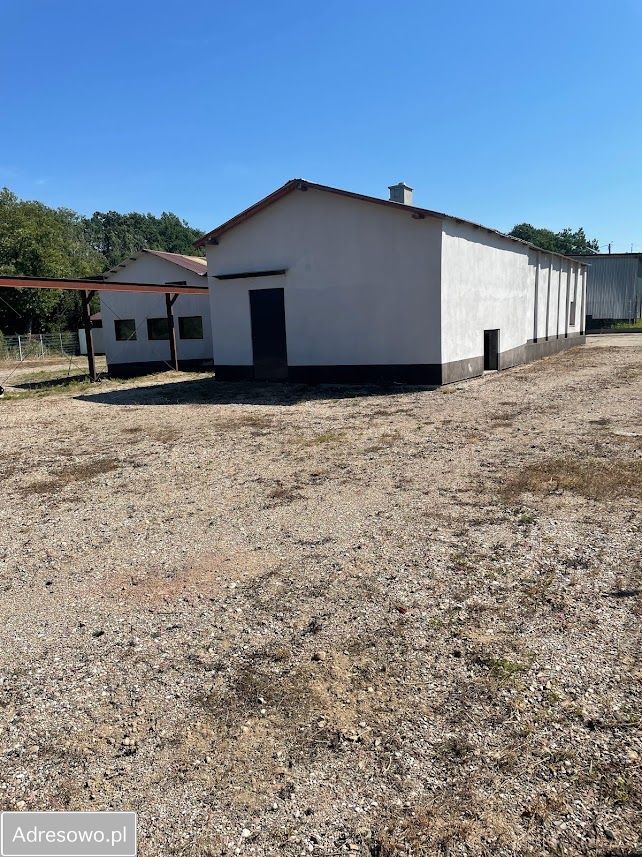 Hala/magazyn Przywidz. Zdjęcie 14