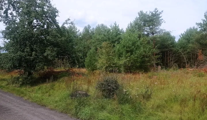 Działka inwestycyjna Klempicz