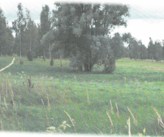 Działka inwestycyjna Harsz. Zdjęcie 1