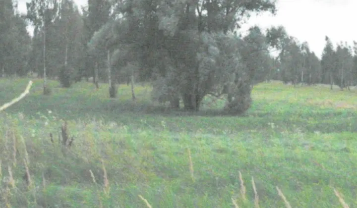 Działka inwestycyjna Harsz