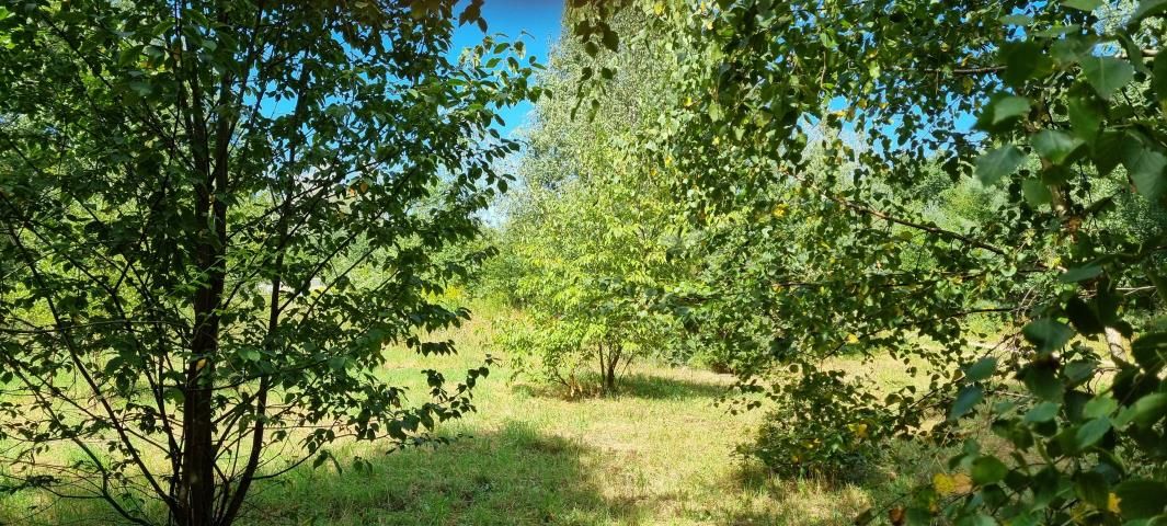 Działka budowlana Rusiec. Zdjęcie 4