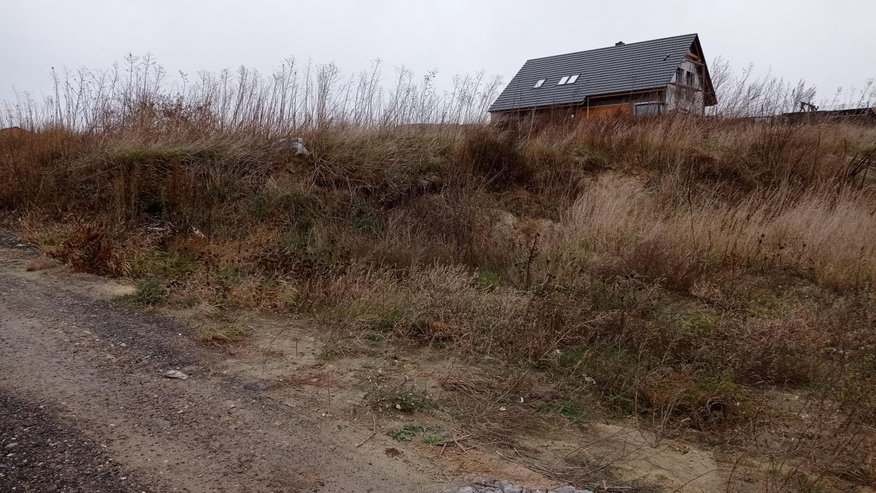 Działka budowlana Knieja. Zdjęcie 2