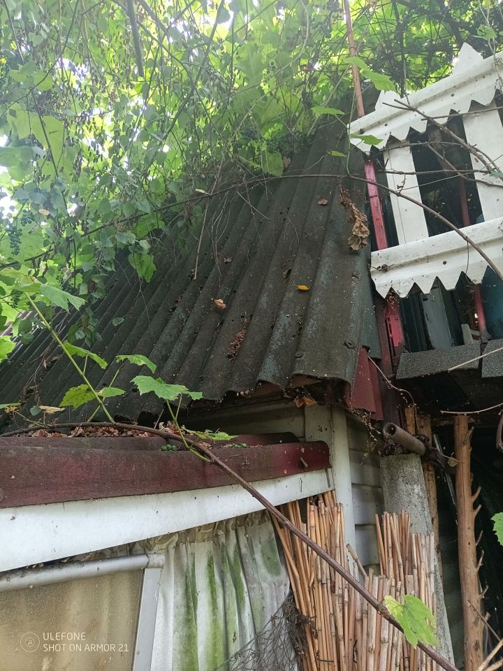 Działka rod Grzybiany, ul. Koskowicka. Zdjęcie 4