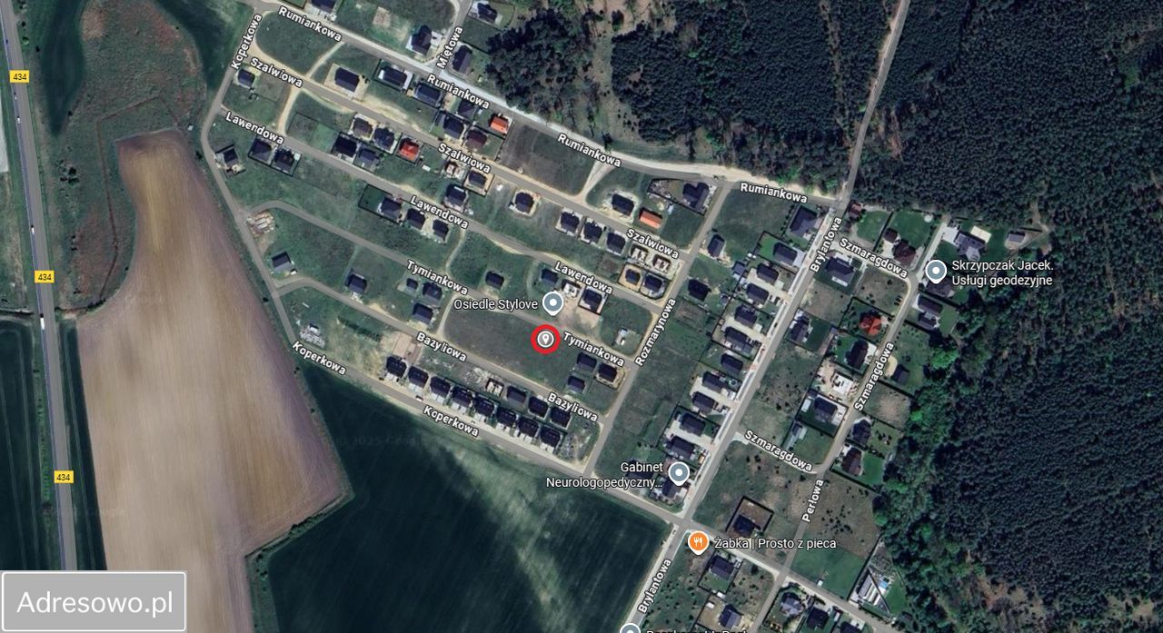 Działka budowlana Zbrudzewo, ul. Tymiankowa. Zdjęcie 6