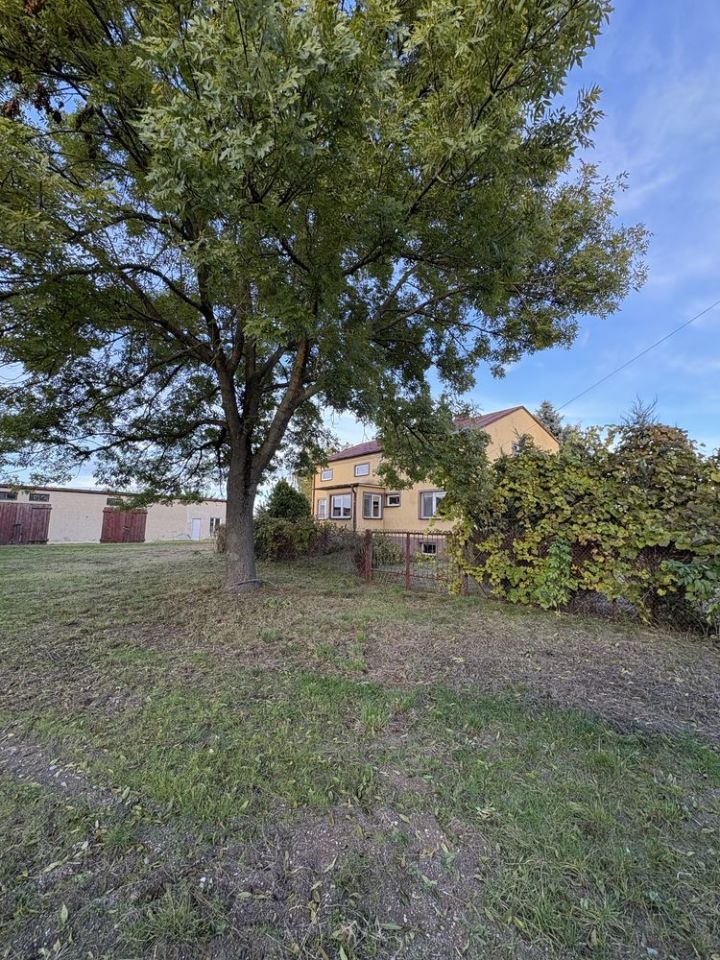 siedlisko Ostaszewo. Zdjęcie 4