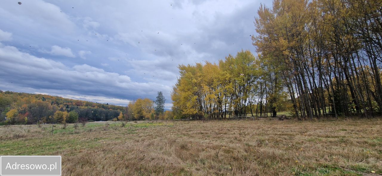Działka budowlana Chocieszów. Zdjęcie 3