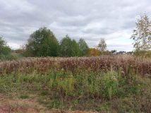 Działka rolno-budowlana Falenty Nowe, ul. Szafranowa. Zdjęcie 2