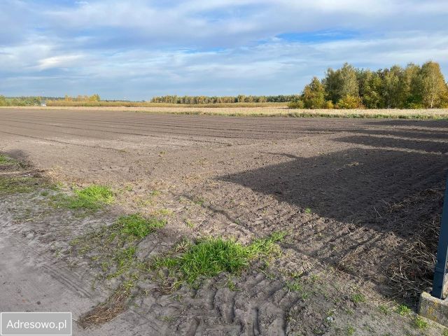 Działka budowlana Lipa. Zdjęcie 1