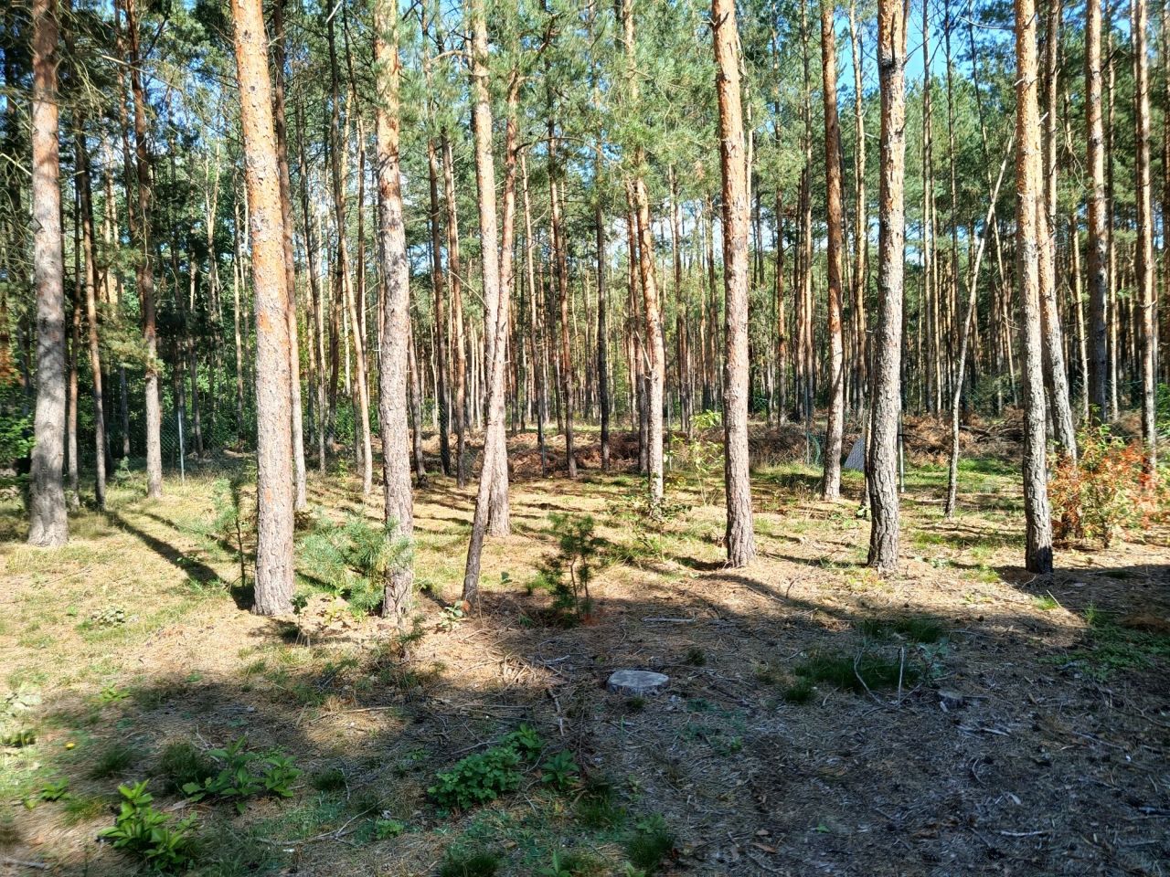 Działka budowlana Czarne Błoto, ul. Łubinowa. Zdjęcie 3