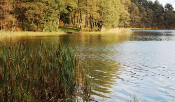 Mieszkanie 2-pokojowe Oświęcim, ul. Karola Olszewskiego