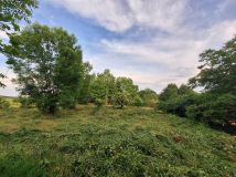 Działka siedliskowa Radostów Górny. Zdjęcie 4