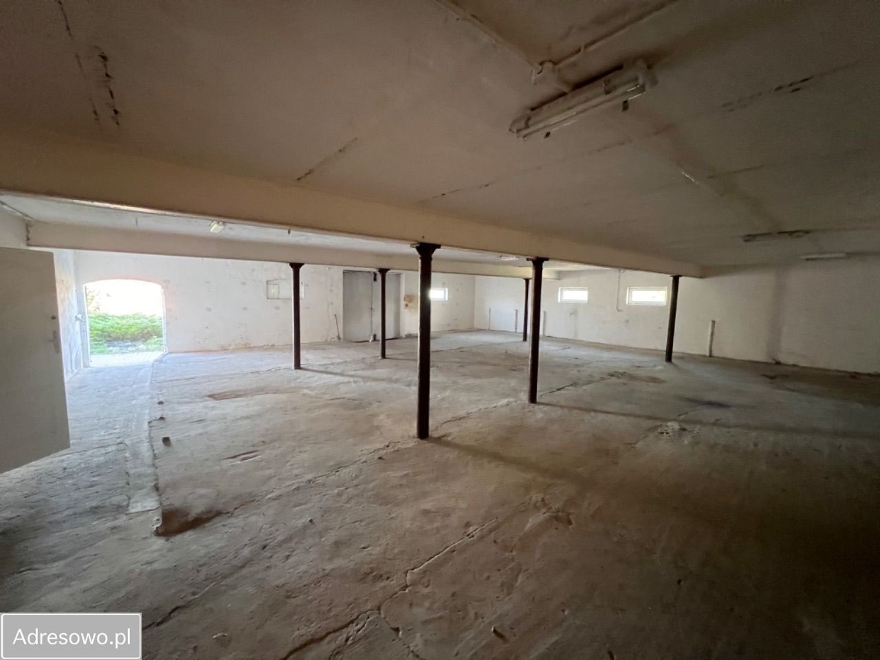 Hala/magazyn Rzepnowo. Zdjęcie 6