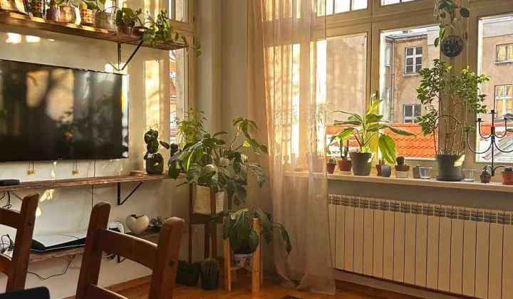 Mieszkanie 4-pokojowe Leszno Centrum