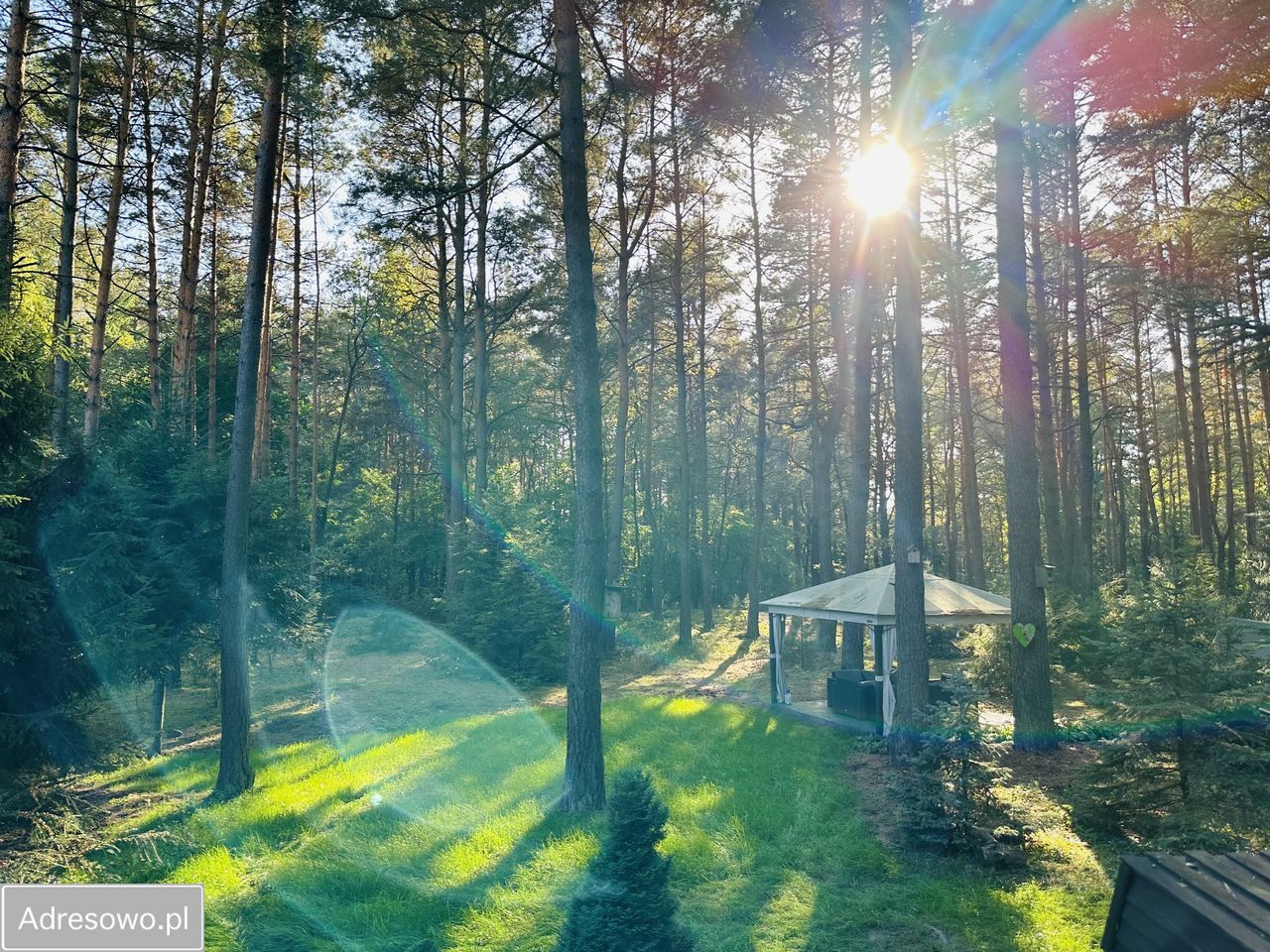 Działka rekreacyjna Ldzań. Zdjęcie 7