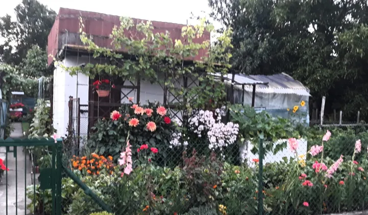 Działka rod Stargard, ul. Gdańska