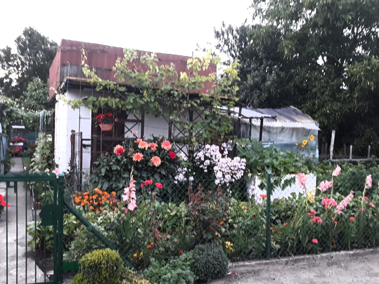 Działka rod Stargard, ul. Gdańska. Zdjęcie 1