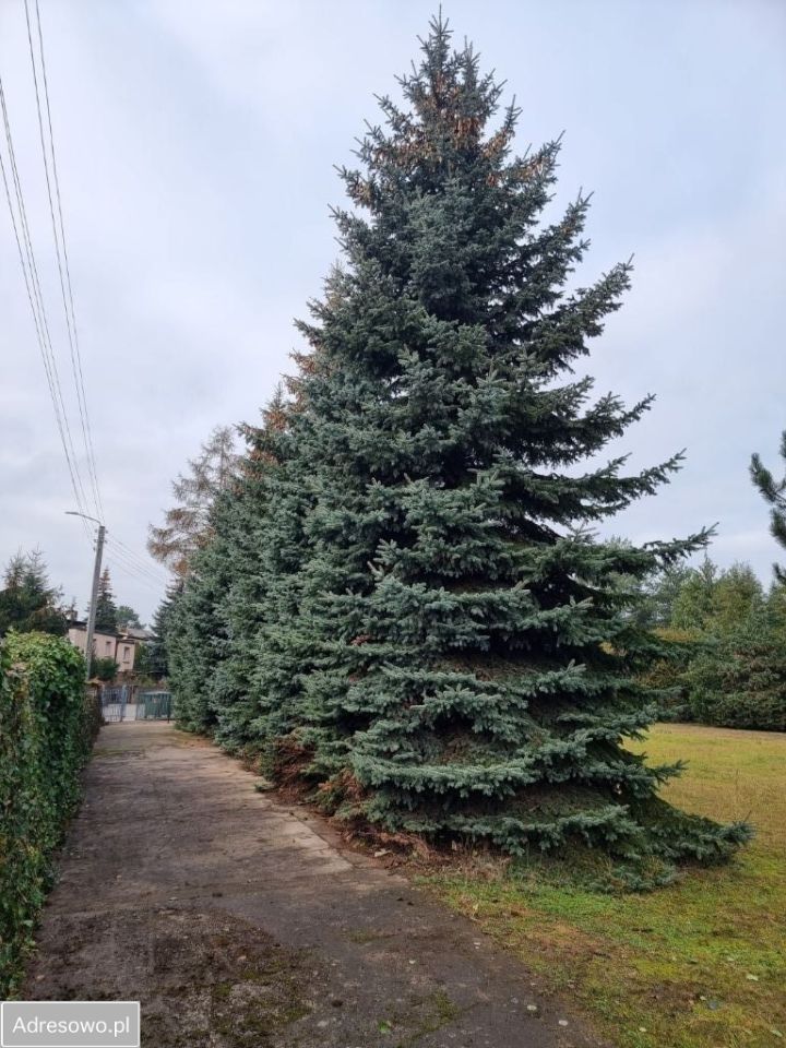Działka budowlana Puszczykowo, ul. 3 Maja. Zdjęcie 14