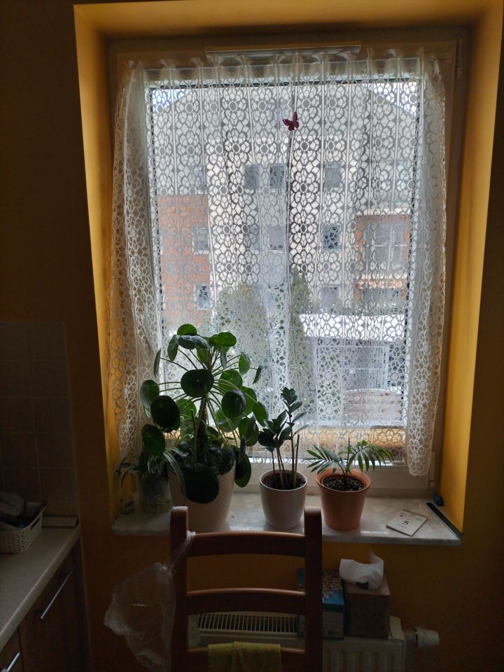 Mieszkanie 2-pokojowe Tarnowo Podgórne, ul. Księdza Czesława Niklewicza. Zdjęcie 6